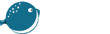 河豚直播