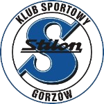 斯迪隆·戈佐 U19